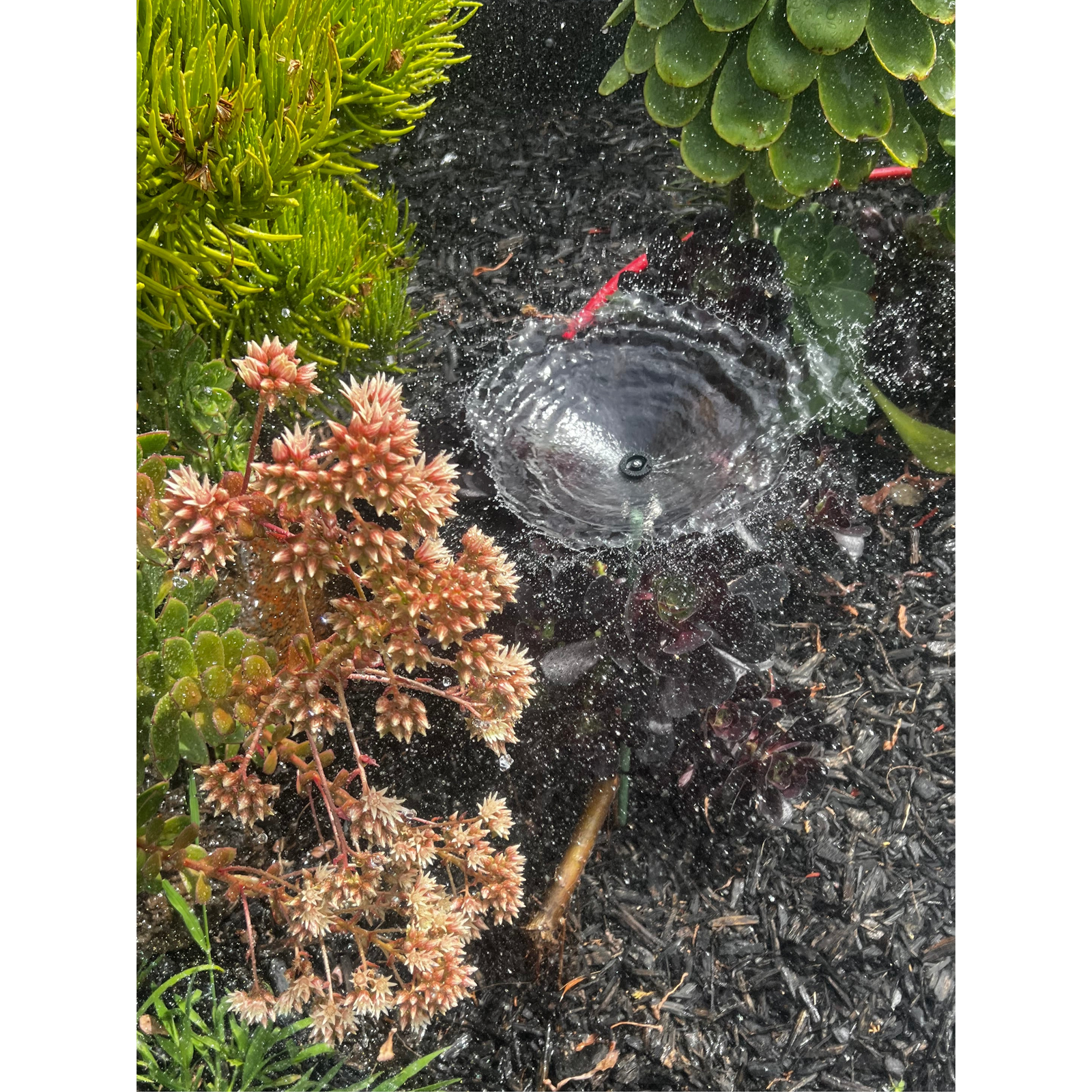 K-Rain K1 Gear Drive 2" Pop-up Mini Gear Driven Sprinkler QTY 2