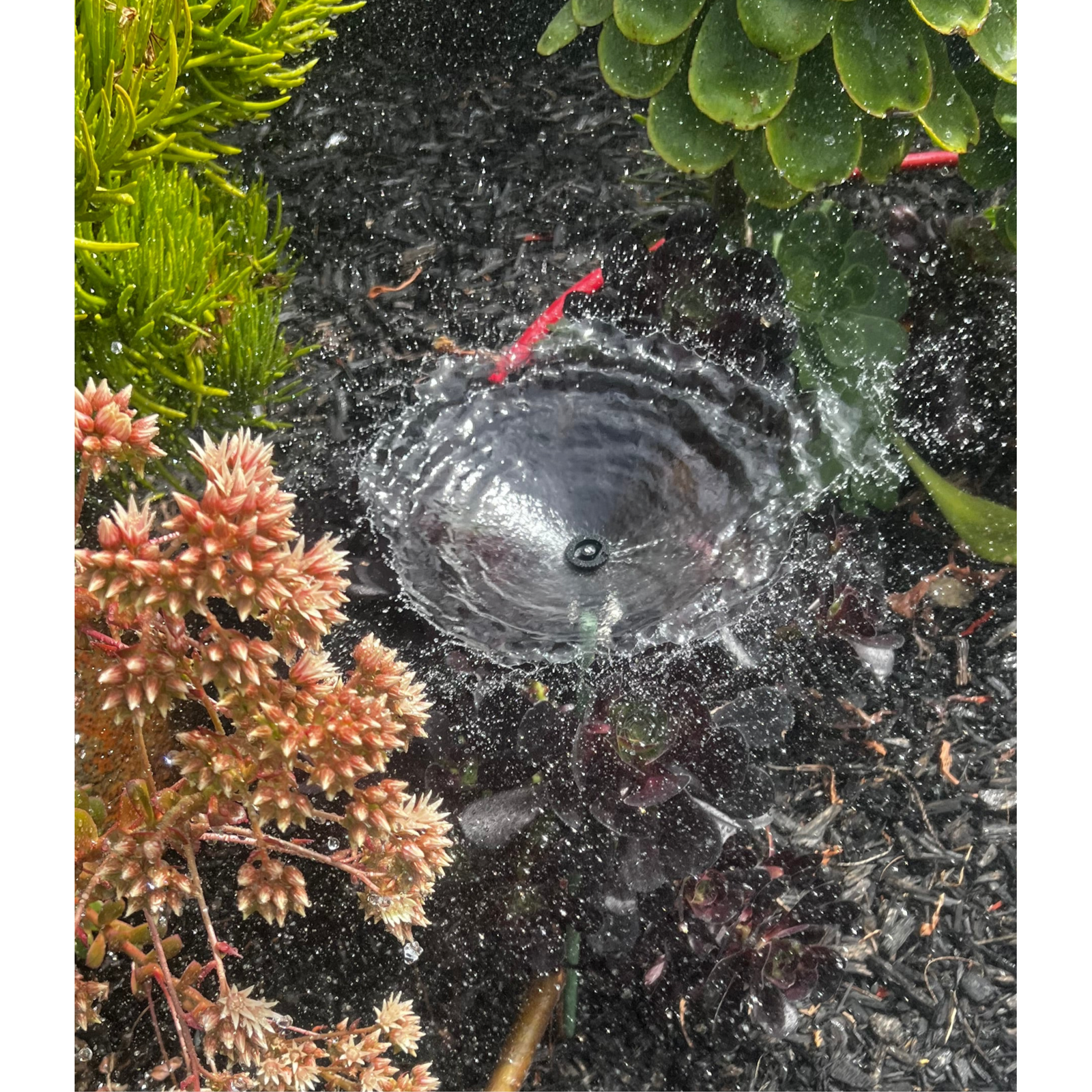 K-Rain K1 Gear Drive 2" Pop-up Mini Gear Driven Sprinkler QTY 2