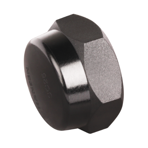 HANSEN Hex Screw Cap BSPT