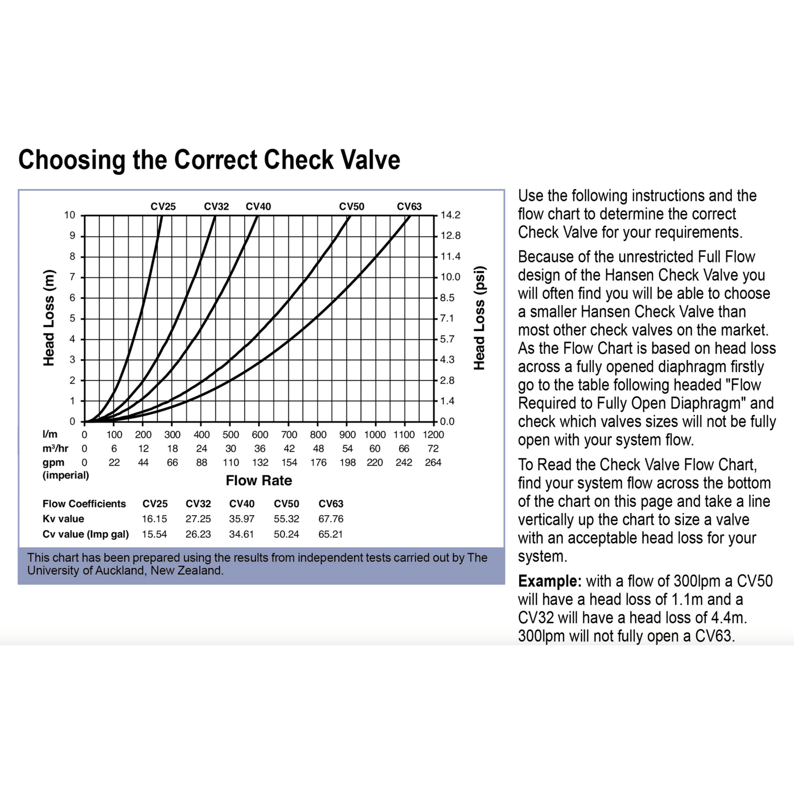 Hansen Check Valve BSPT