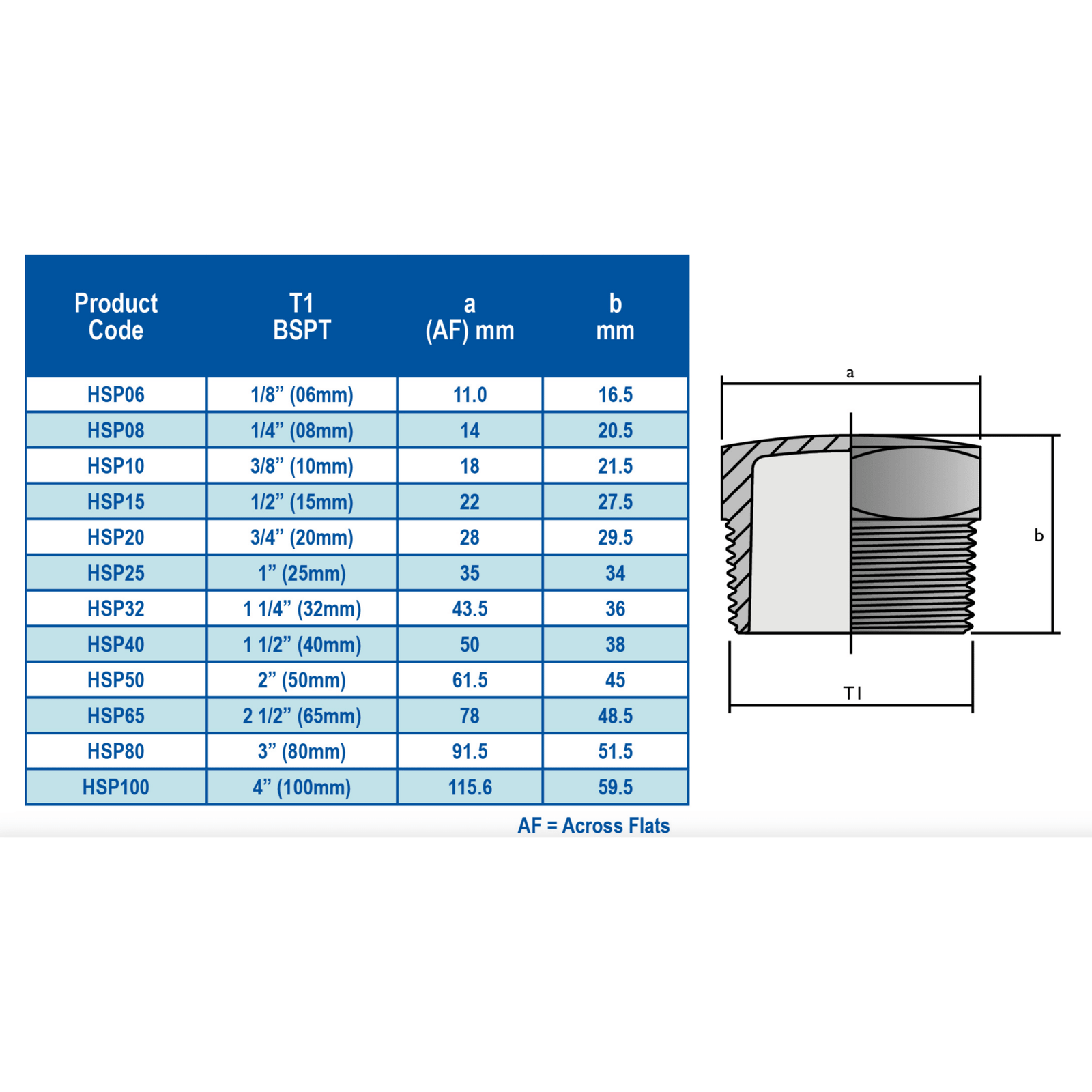 HANSEN Hex Screw Plug BSPT - Hose Factory