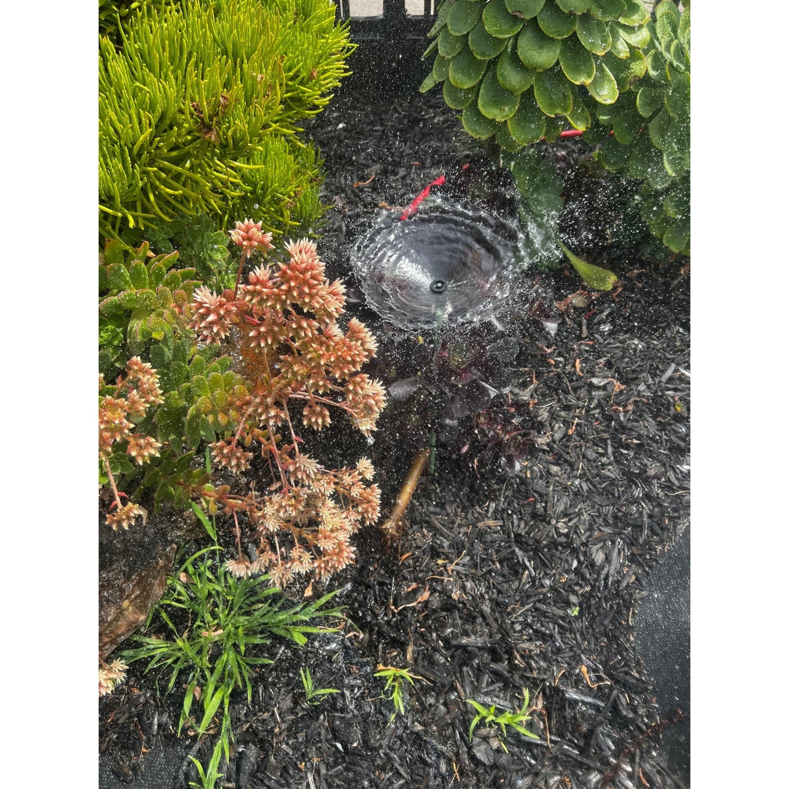 K-Rain K1 Gear Drive 2" Pop-up Mini Gear Driven Sprinkler QTY 2