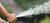HOSES