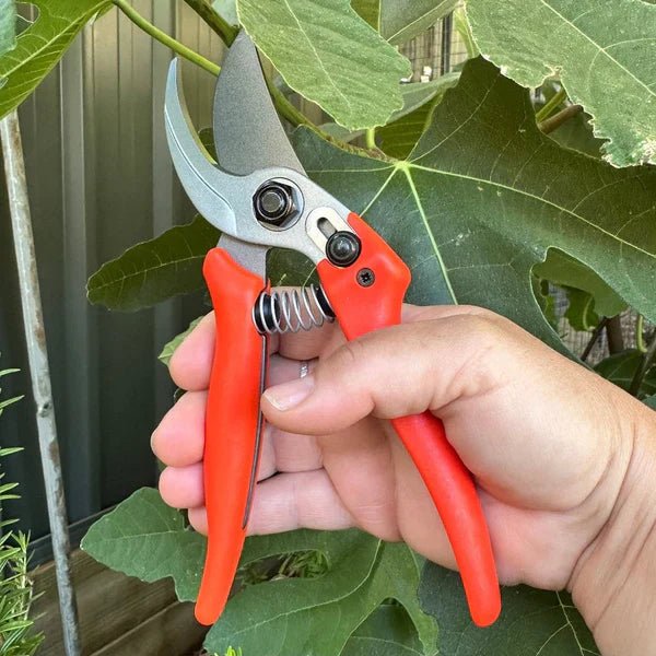 Hand Tools