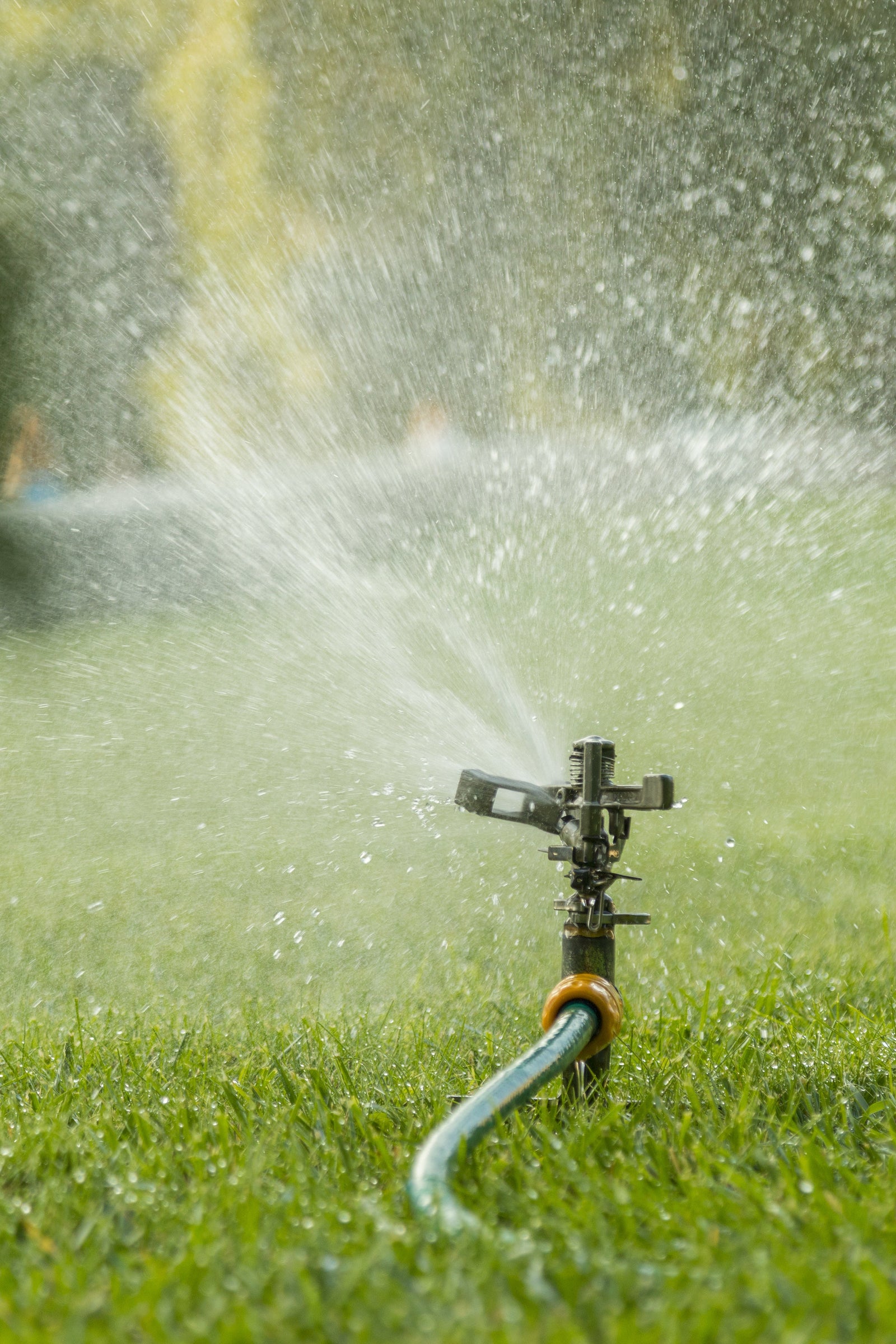SPRINKLERS