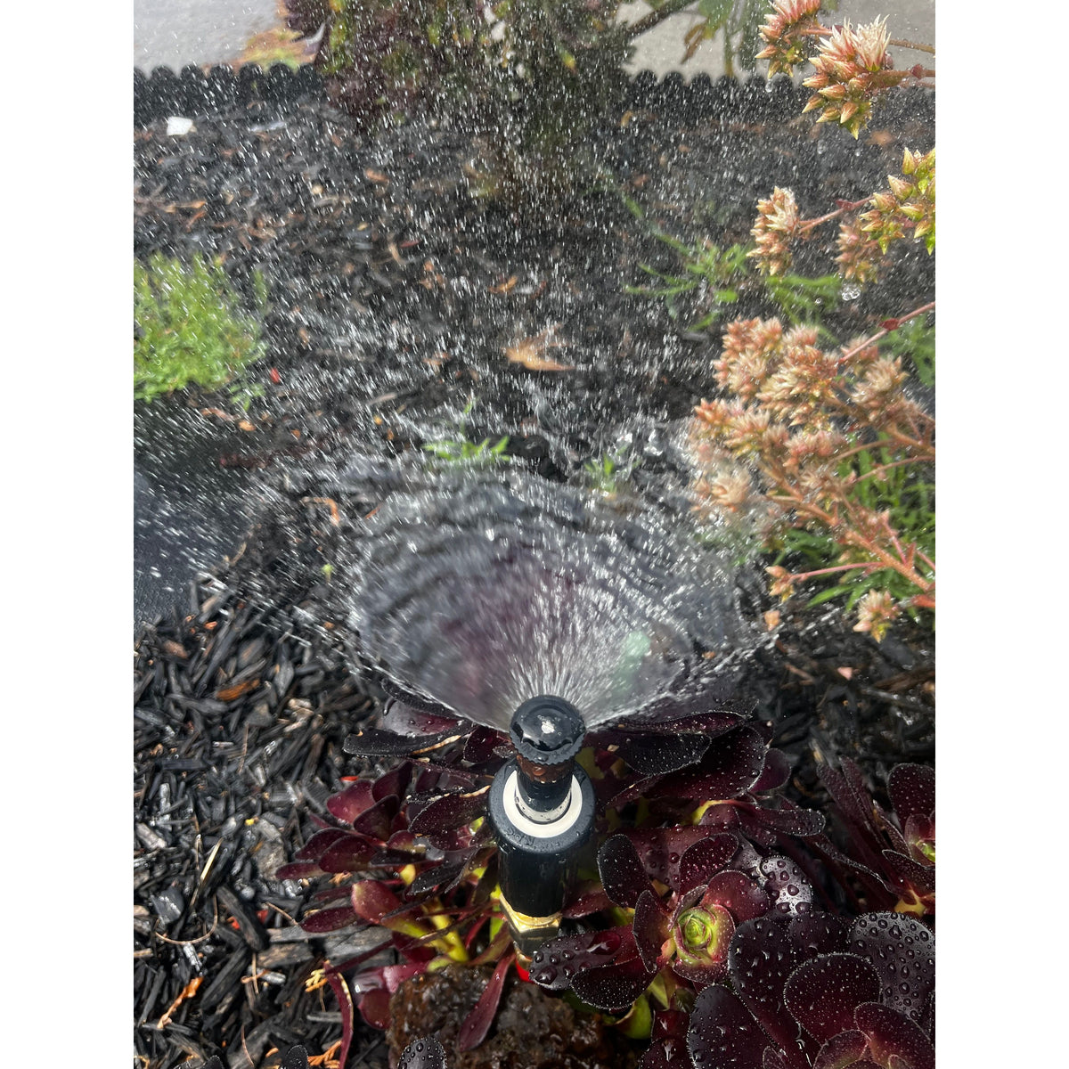 K-Rain K1 Gear Drive 2" Pop-up Mini Gear Driven Sprinkler QTY 2