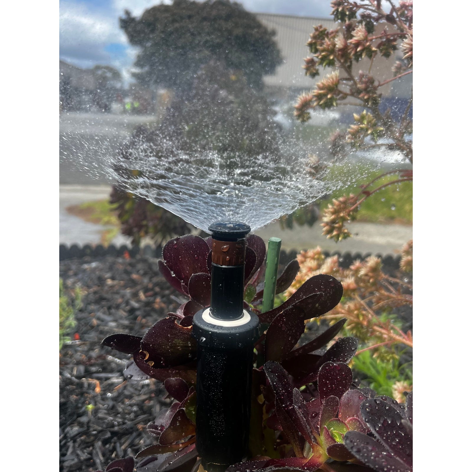 K-Rain K1 Gear Drive 2" Pop-up Mini Gear Driven Sprinkler QTY 2