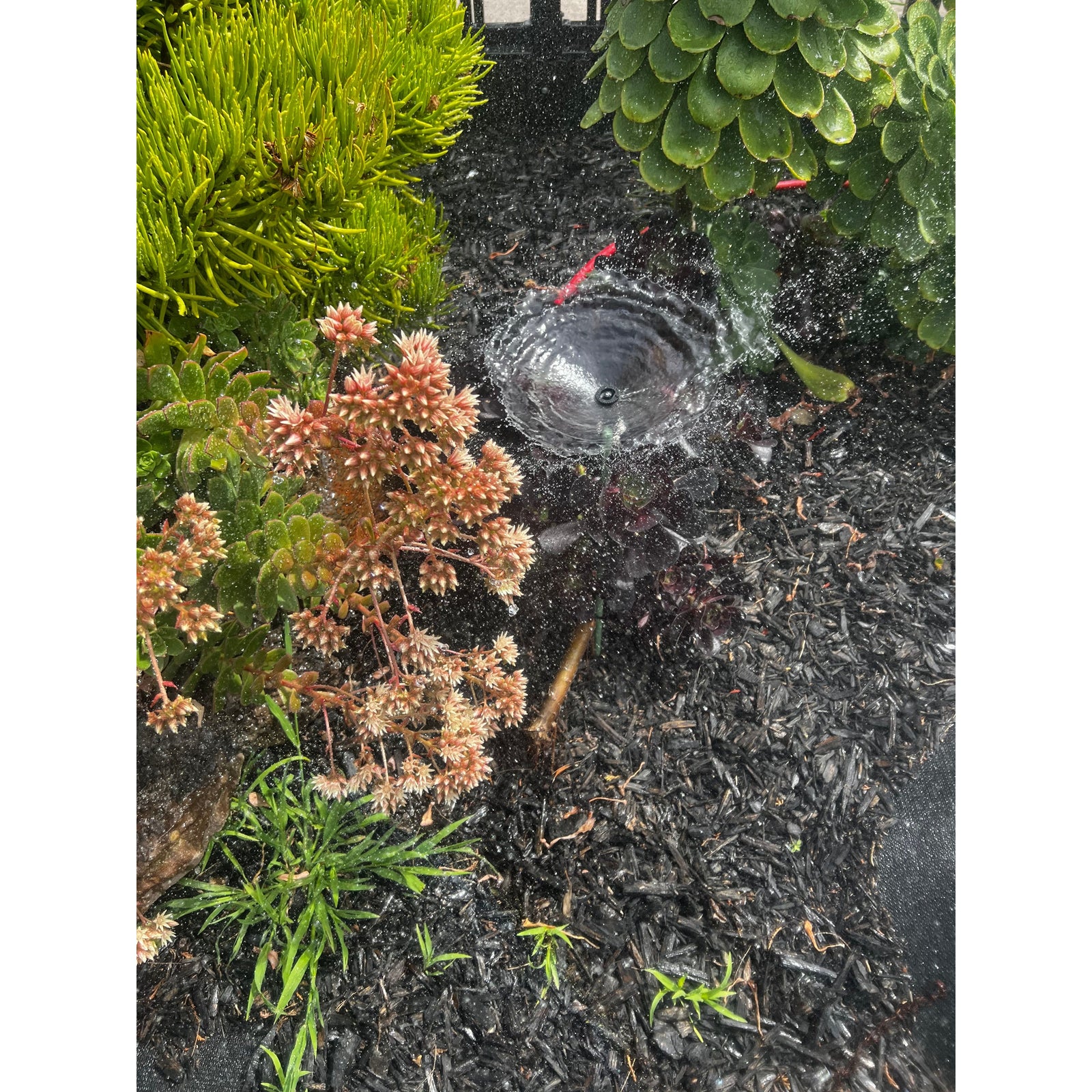 K-Rain K1 Gear Drive 2" Pop-up Mini Gear Driven Sprinkler QTY 2