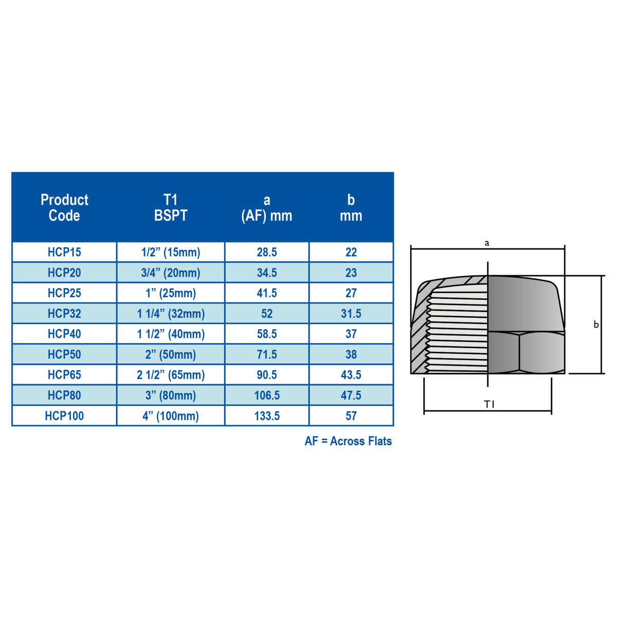 HANSEN Hex Screw Cap BSPT