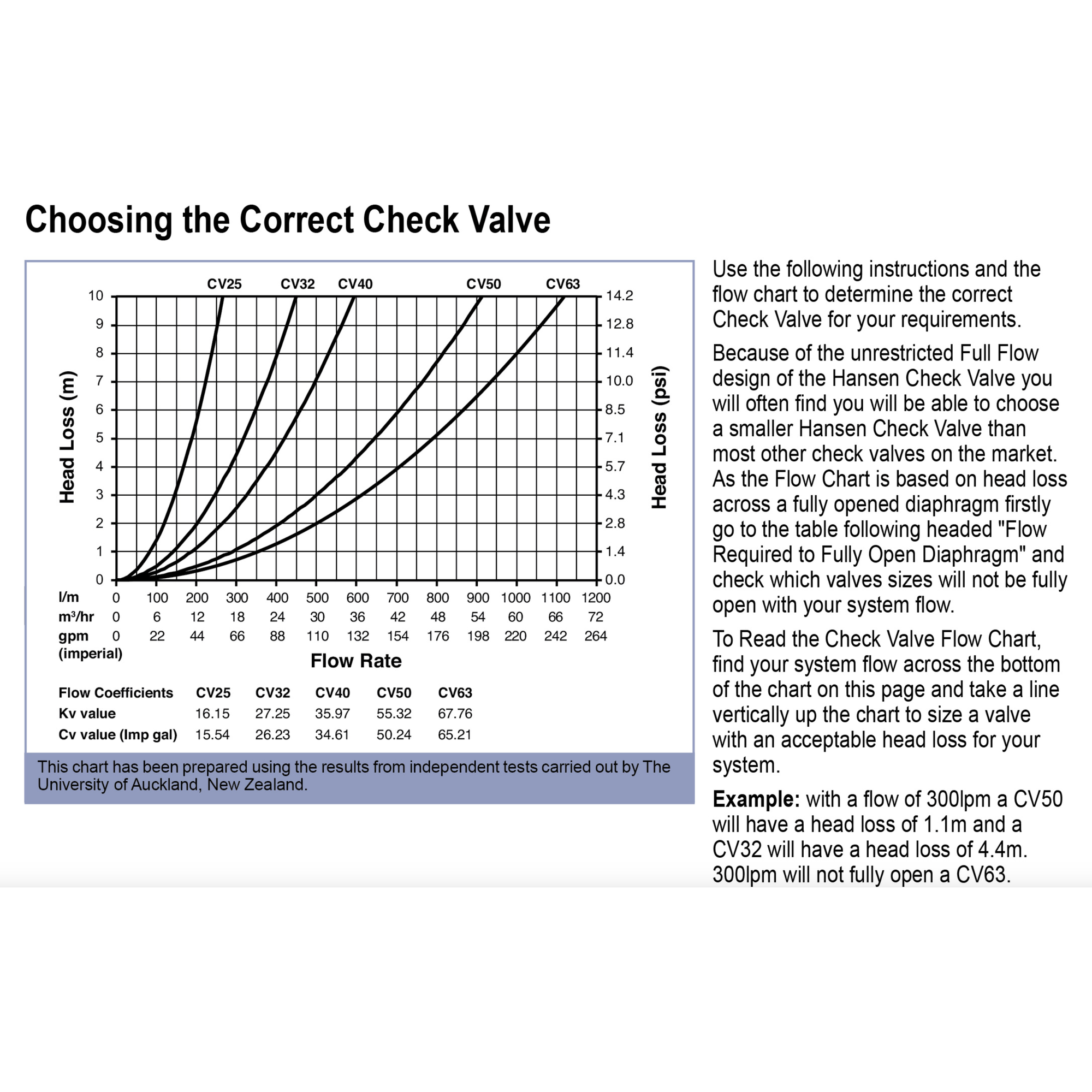 Hansen Check Valve BSPT