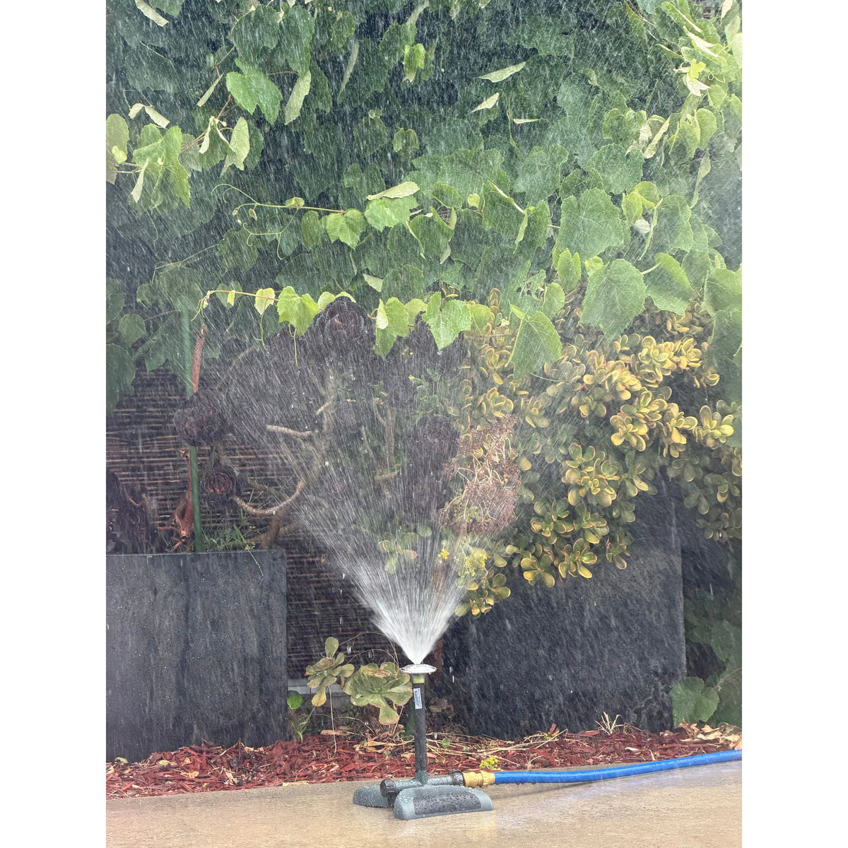 POPE Dome Sprinkler on Holman Base with 200mm Riser CLEARANCE
