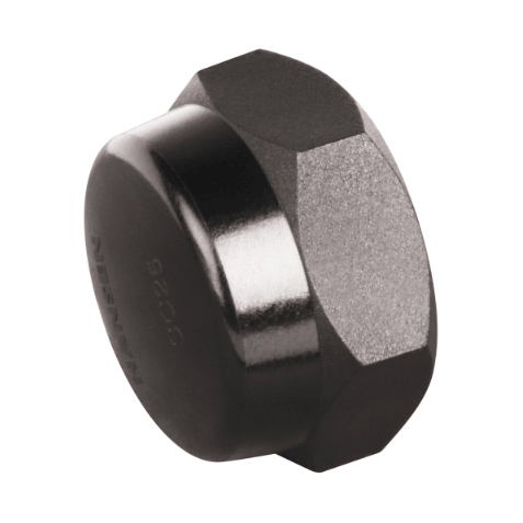 HANSEN Hex Screw Cap BSPT - Hose Factory