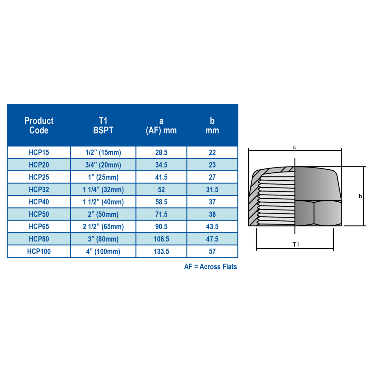 HANSEN Hex Screw Cap BSPT - Hose Factory