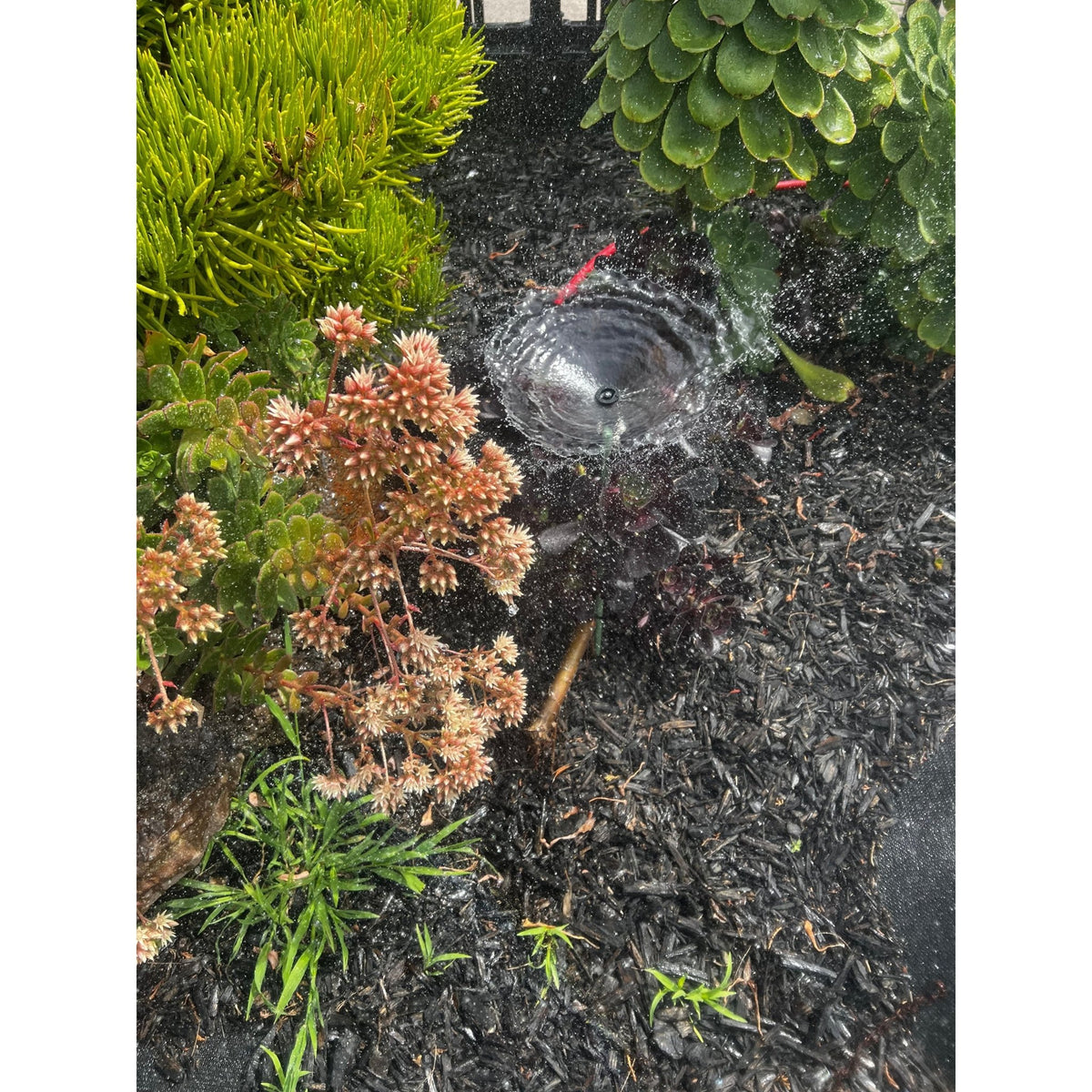 K-Rain K1 Gear Drive 2" Pop-up Mini Gear Driven Sprinkler QTY 2