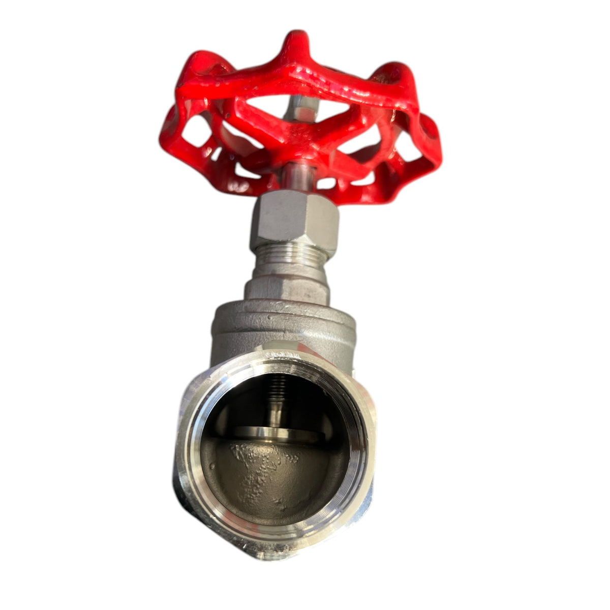 Stainless Steel Globe Valve 16 Bar Clearance Stock - Hose Factory