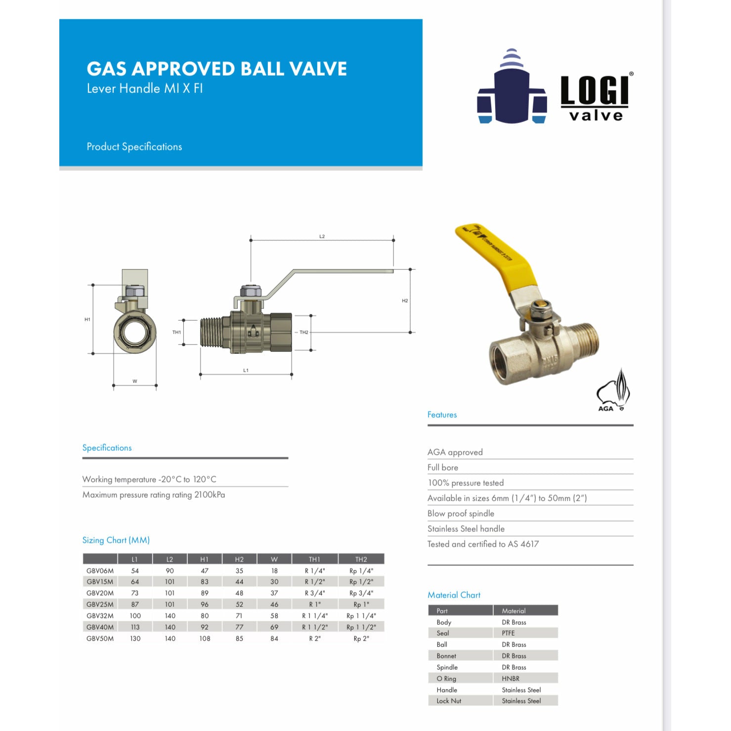 HOSE FACTORY Gas Approved Ball Valve MI X FI