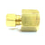 Hose Factory Female Brass Connector Compression Fitting 3/16 X 1/8 Fittings