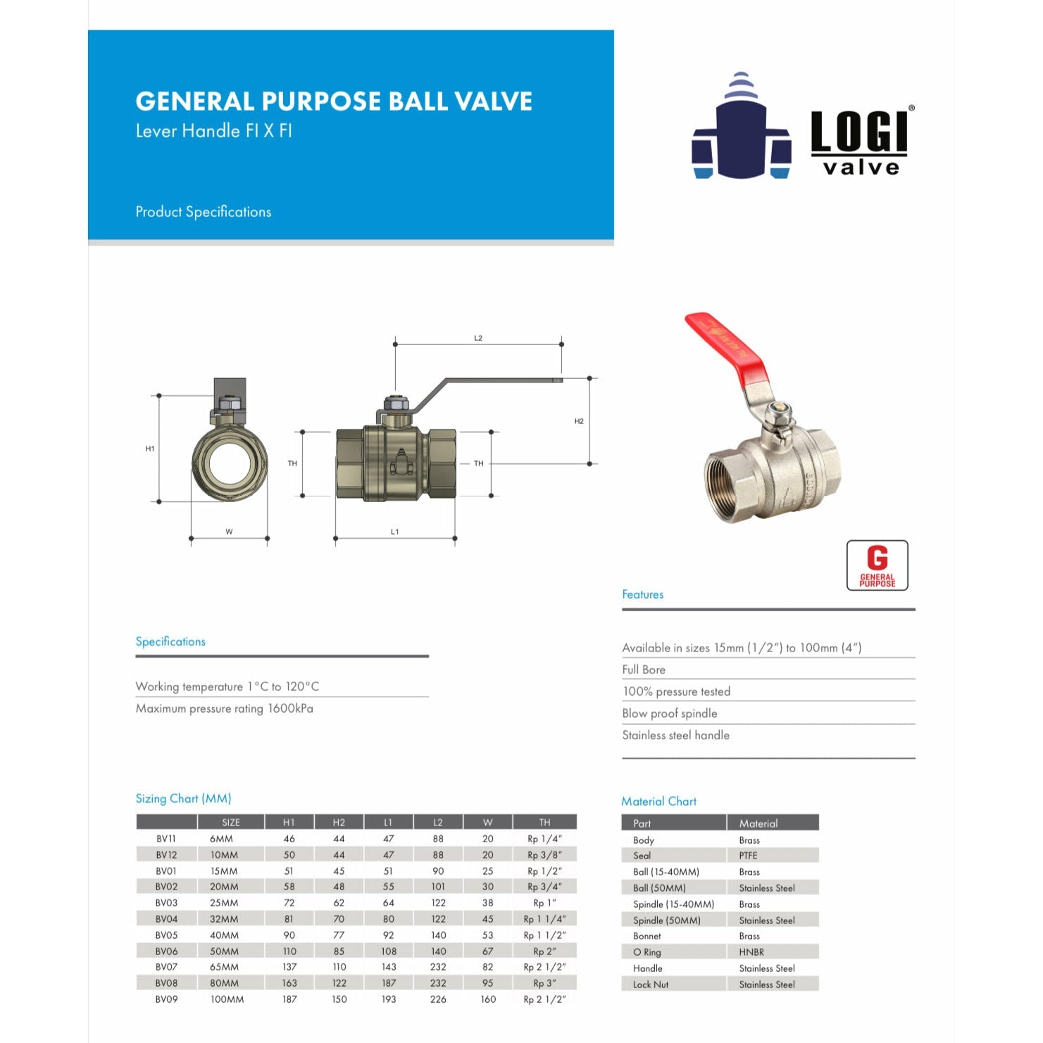 Hose Factory General Purpose Ball Valve FI X FI - Hose Factory