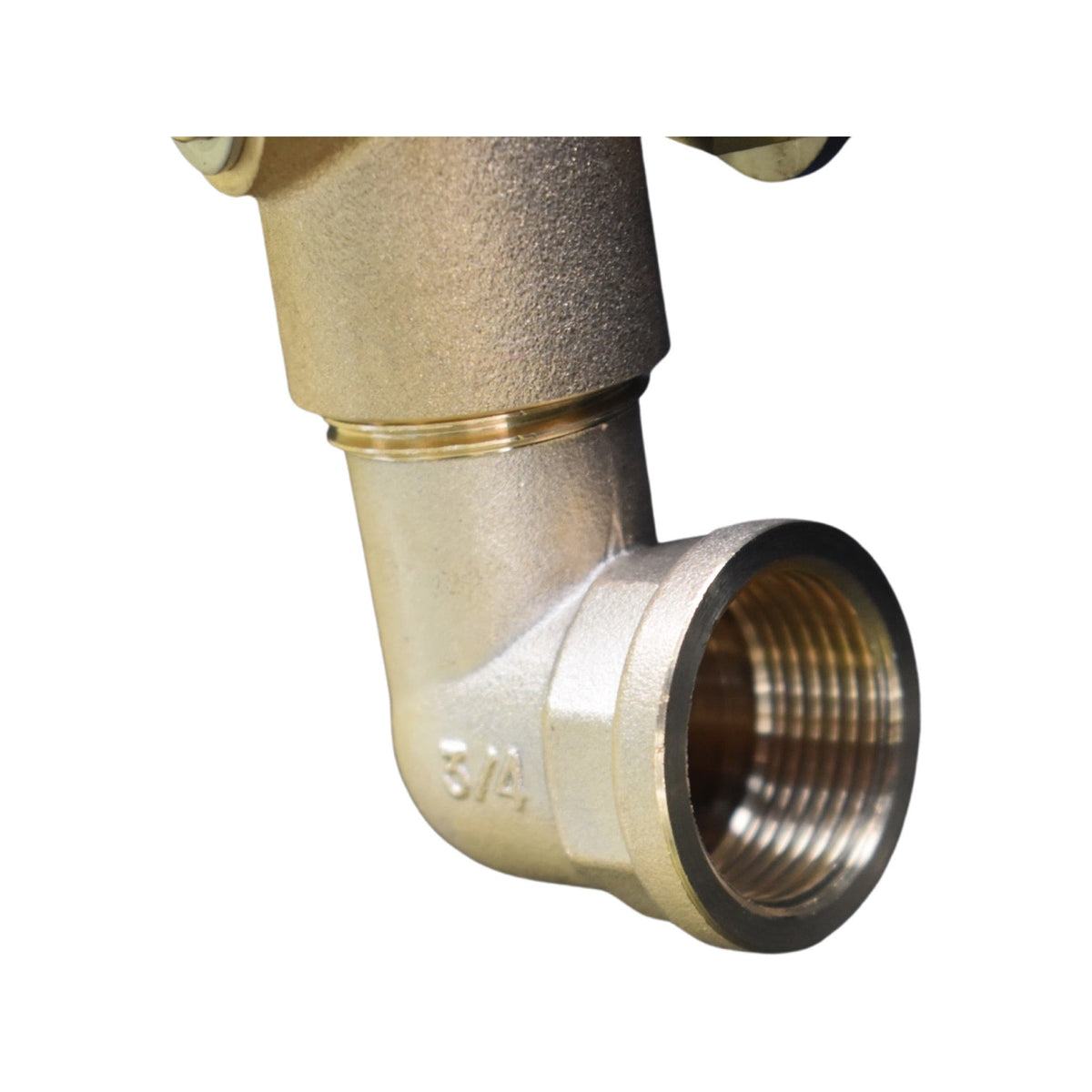 ZORRO Disc Mountable Hose Reel with Bluline Estate Washdown Hose - Hose Factory